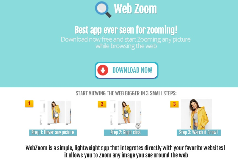 How to remove Web Zoom - BugsFighter